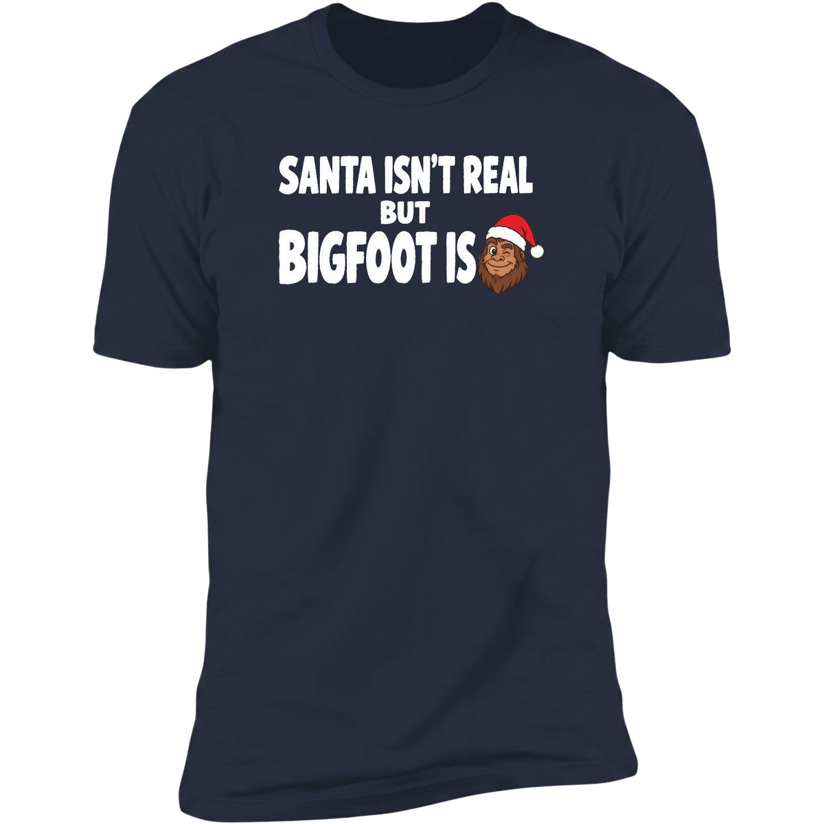 santa-isnt-real navy swatch