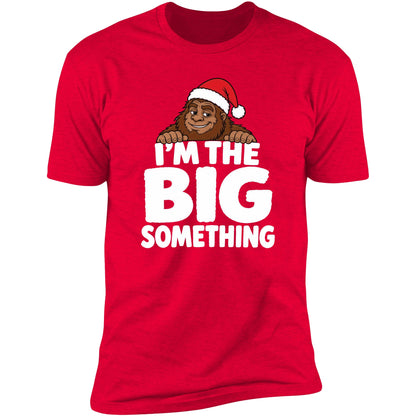 im-the-big-something red swatch