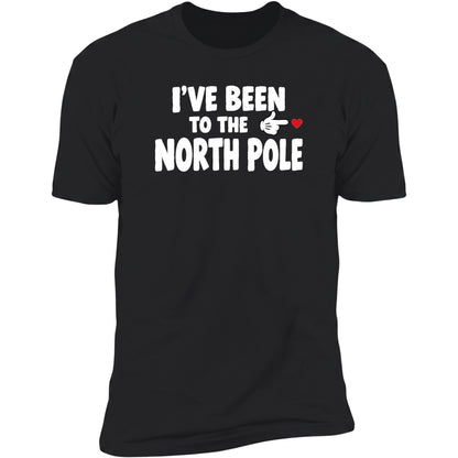 ive-been-to-the-north-pole black swatch