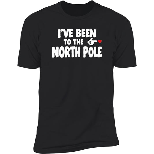 ive-been-to-the-north-pole black swatch