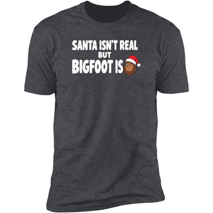santa-isnt-real dark-heather swatch