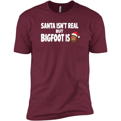 santa-isnt-real maroon swatch