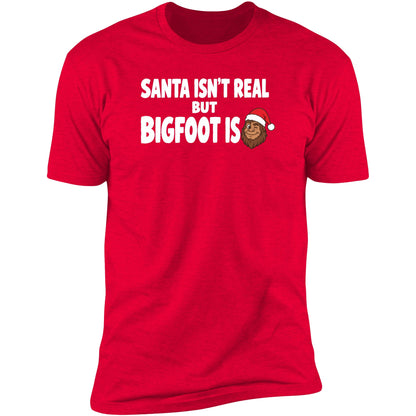 santa-isnt-real red swatch